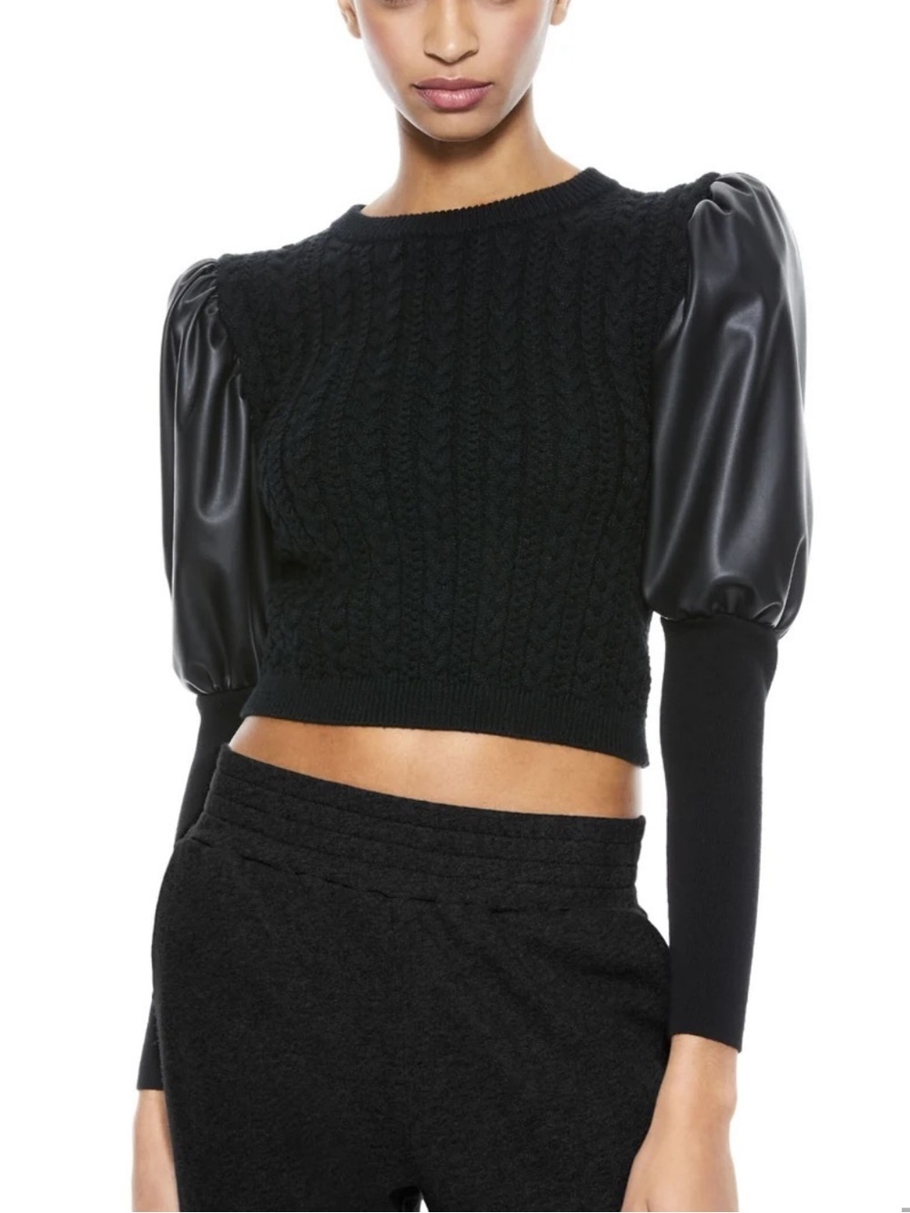 Alice and Olivia sweater